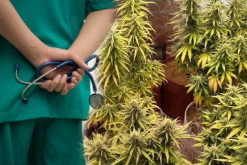 இணையத்தை பார்த்து நவீன முறையில் கஞ்சா செடி வளர்த்த 5 மருத்துவ மாணவர்கள் - பொறி வைத்து பிடித்த போலீசார்!