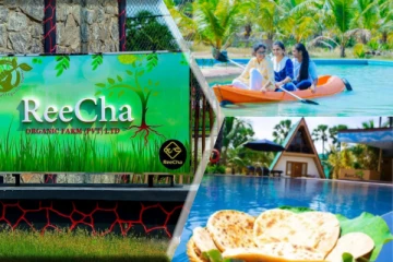 யாழில் புலம்பெயர் தமிழர்கள் ஒன்றுகுவியும் ஒரே சுற்றுலாத்தலம்