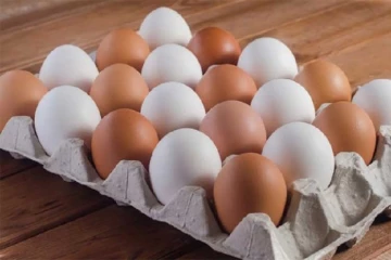 முட்டையொன்றுக்கு ரூபா 20 இலாபம் சம்பாதிக்கும் உற்பத்தியாளர்கள்