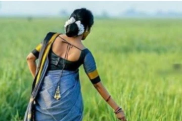 யாழ்ப்பாணத்தின் உணவுக்களஞ்சியம் என அழைக்கப்படும் அழகிய கிராமம் பற்றிய அரிய தகவல்கள்
