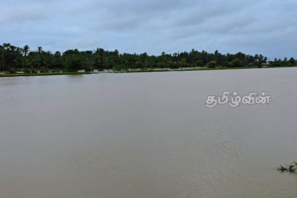 சீரற்ற கால நிலையால் திருகோணமலையில் 7000ற்கும் மேற்பட்டோர் பாதிப்பு.. | Trinco Floods Affect 7376 People