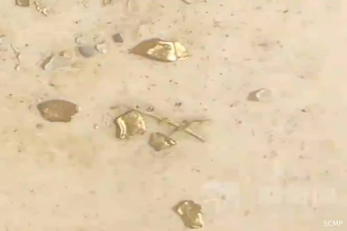 வாத்தின் வயிற்றுக்குள் தங்கம்... ஒரு சுவாரஸ்ய செய்தி | China Man Found Lakhs Worth Gold In Duck Stomach