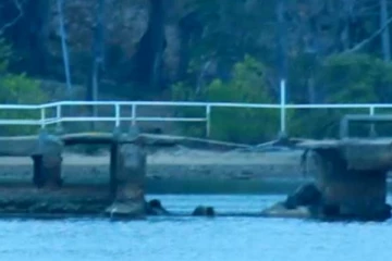 திடீரென இடிந்து வீழ்ந்த திருகோணமலை கடற்படை முகாமில் உள்ள இறங்குதுறை! பலர் காயம்(Photos)