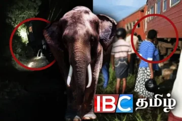 தொடருந்து மோதி யானைக் கூட்டம் பலி - துண்டிக்கப்பட்ட போக்குவரத்து
