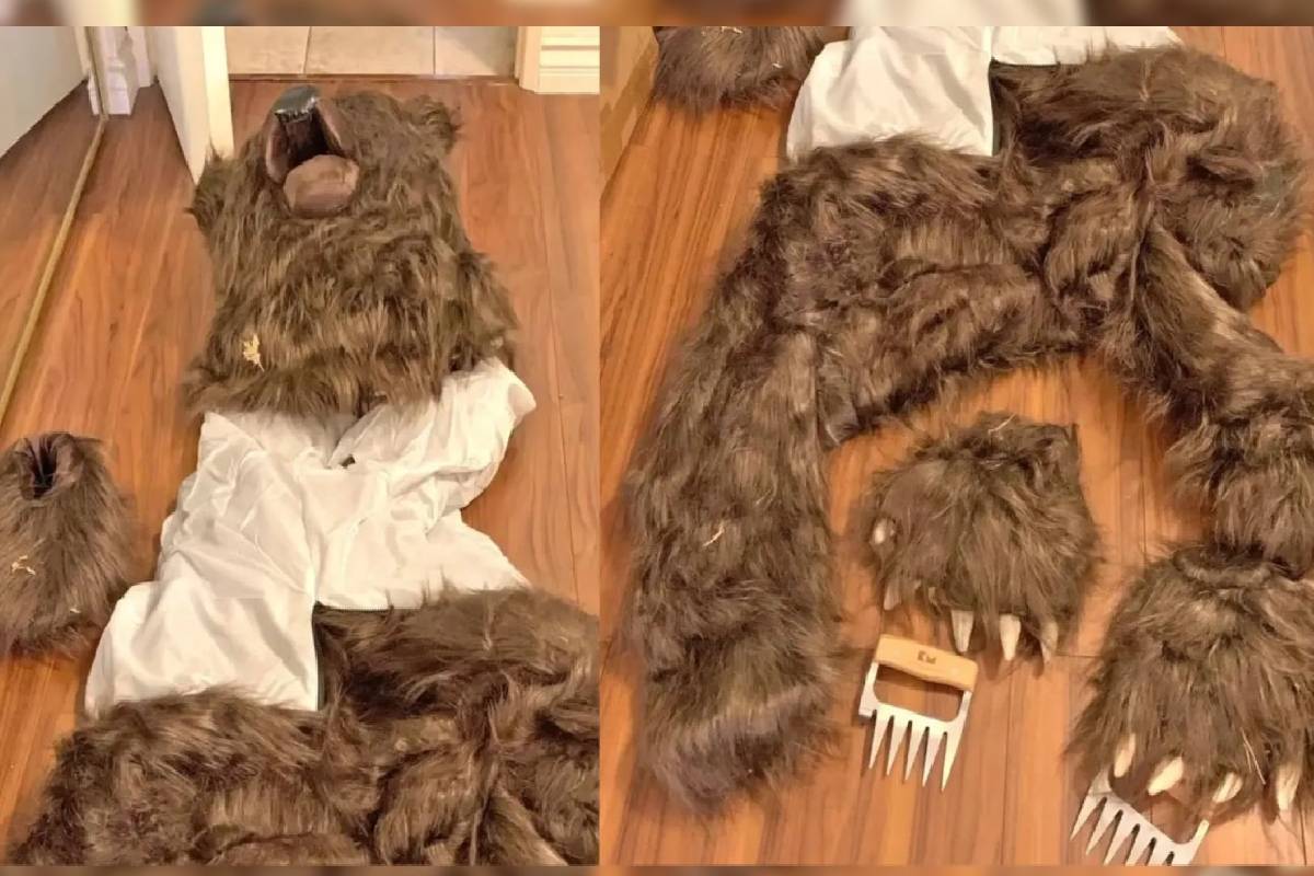 கரடி வேடமணிந்து 1.41 இலட்சம் டொலர் காப்புறுதி மோசடி செய்த மூவருக்கு சிறை | Three Jailed For Insurance Fraud Disguised Bears