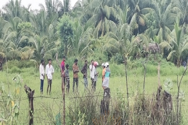 கை கால்கள் வெட்டப்பட்ட நிலையில் இளம்பெண்ணின் சடலம் மீட்பு | Women Death Body Found In Vavuniya கை கால்கள் வெட்டப்பட்ட நிலையில் இளம்பெண்ணின் சடலம் மீட்பு | Women Death Body Found In Vavuniya