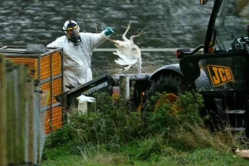 கொரோனா பரவல் ஒருபக்கம்.... பிரித்தானியாவை உலுக்கும் அடுத்த கொடிய பாதிப்பு: முழு தகவல்