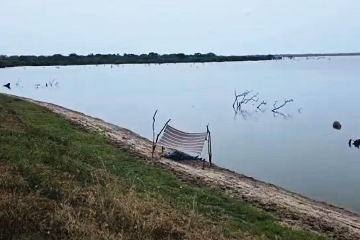 முல்லைத்தீவில் குளத்தில் சடலமாக மிதந்த இளைஞன்! | Young Man Died After Drowning In A Pool