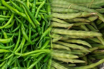 முருங்கைக்காய், பச்சைமிளகாயின் விலையில் ஏற்பட்ட பாரிய மாற்றம்