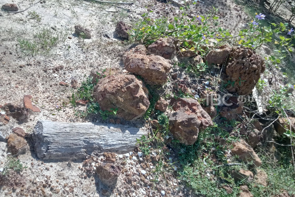 புதுமாத்தளன் சந்தியில் விடுதலைப்புலிகளின் முன்னரங்க தடயம் | Ltte S Advance Trace At Pudumathalan Junction