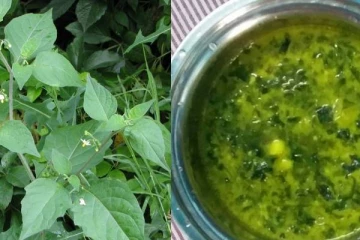 பல நோய்களை தீர்க்கும் மணத்தக்காளி கீரை சூப் செய்வது எப்படி?