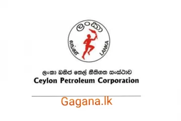 ඛනිජ තෙල් සංස්ථාවේ ගේමක් ලීක් වෙයි.රහසිගත තොරතුරු රැසක් එළියට......