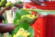 දන්සල් දෙන අයට සහ කන අයට PHI වෙතින් හදිසි නිවේදනයක්- මේ වැරැද්ද කළොත් වැඩ වරදියි