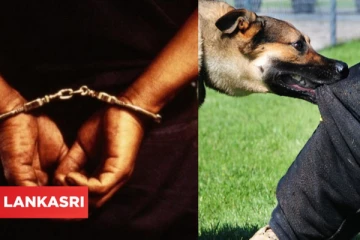 மனநலம் பாதிக்கப்பட்ட பெண்ணை சீரழித்த கொடூரனை பிடித்துக்கொடுத்த வளர்ப்பு நாய்! விசாரணையில் வெளிவந்த அதிர்ச்சி தகவல்!