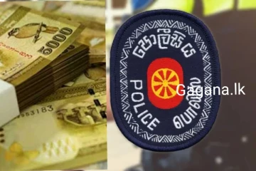 මිත්තණියගේ කොට්ටය යටින් ලක්ෂ 14ක් සොරා ගත් මුණුබුරා අත්අඩංගුවට..