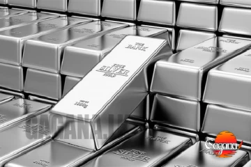 වෙළඳපොළේ රිදී මිල වාර්තාගත ලෙස ඉහළට