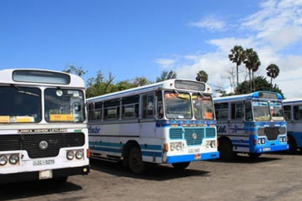 Srilanka Buses