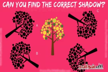 நிழல் புதிர் - படத்தில் நடுவில் உள்ள மரத்தின் சரியான நிழலைக் கண்டுபிடிக்க முடியுமா?