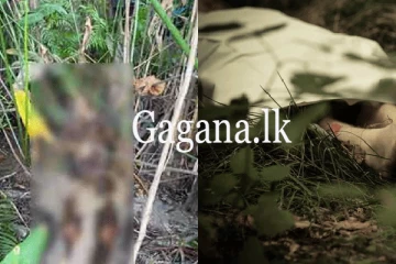 දිවයිනේ තැන තැන හමු වන නාඳුනන මළ සිරුරු.