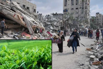 காசா மக்களுக்கு இலங்கை அளிக்கவுள்ள நன்கொடை