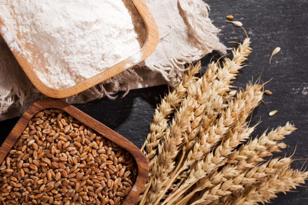 குறைக்கப்பட்ட கோதுமை மாவின் விலை! | Reduced Price Of Wheat Flour