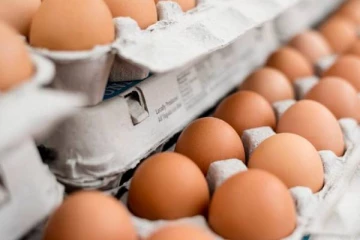 இலங்கையில் திடீரென அதிகரித்த முட்டை விலை! வரலாற்றில் முதல் தடவை