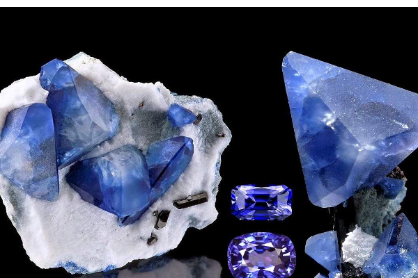 ஒரே குடும்பத்தைச் சேர்ந்த மூவருக்கு கிடைத்த அதிர்ஷ்டம் | Three Members Ray Family Have Received 5 Blue Gems