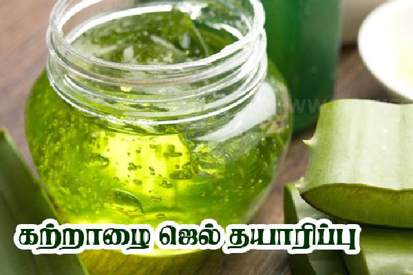 கற்றாழை ஜெல்லை பயன்படுத்தினால் இவ்வளவு நன்மைகளா..! | Benefits Of Aloe Vera For Face And Skin Tips Tamil