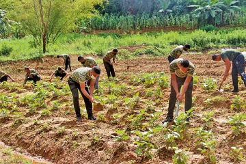 யாழில் இராணுவத்தினரிடமிருந்து விவசாய காணிகள் விடுவிப்பு