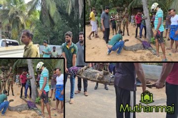 ஊருக்குள் புகுந்த 6அடி முதலை : மக்கள் முன்னெடுத்த செயல்