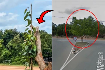 தமிழர் தாயக கோட்பாட்டை சிதைக்க தூரநோக்கு வேலைத்திட்டம்?