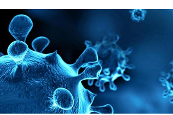 ஒமைக்ரான் வைரஸ் - இந்தியாவில் 38 ஆக உயர்வு | India World