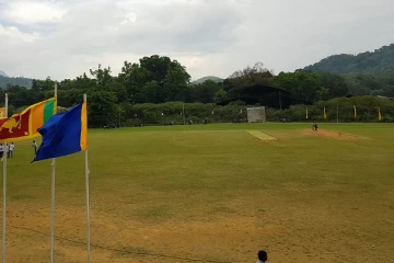 கால்பந்தாட்ட மைதானத்தில் சுற்றித்திரியும் பாம்புகள்; அச்சத்தில் மக்கள்!