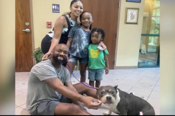 தொலைந்து போன வளர்ப்பு நாய் 3 ஆண்டுகளுக்கு பிறகு வந்து சேர்ந்த அதிசயம் - உதவிய மைக்ரோ சிப்!