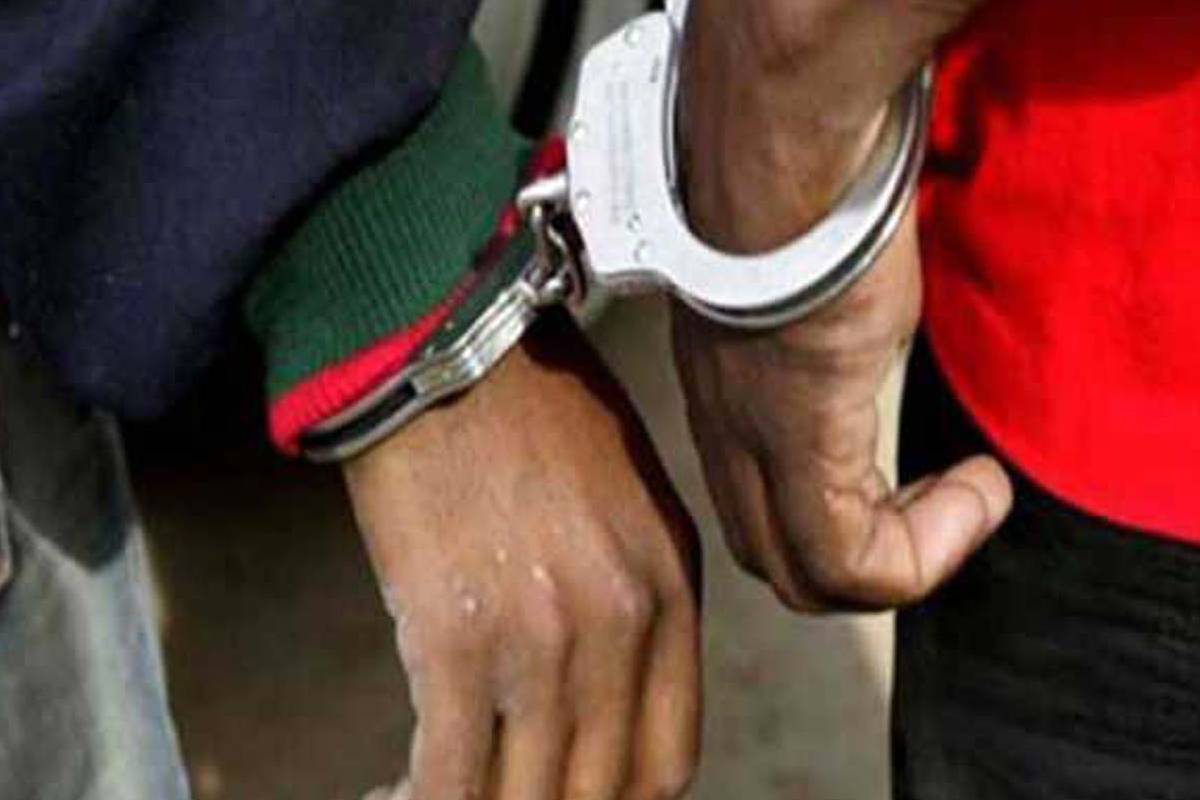 குச்சவெளியில் முதிரை மரங்களுடன் இருவர் கைது! | 2 Arrested With Mulberry Trees In Kuchavale குச்சவெளியில் முதிரை மரங்களுடன் இருவர் கைது! | 2 Arrested With Mulberry Trees In Kuchavale