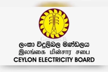 හේතුව වඳුරද?... රටටම විදුලිය බිඳවැටීම සම්බන්ධයෙන් කරුණු සෙවූ වාර්තාව මෙන්න...