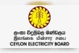 හේතුව වඳුරද?... රටටම විදුලිය බිඳවැටීම සම්බන්ධයෙන් කරුණු සෙවූ වාර්තාව මෙන්න...