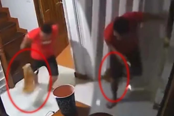 உரிமையாளருக்கு உயிர் பயத்தை காட்டிய பூனை... செல்லப்பிராணிகள் வைத்திருப்பவர்கே கவனம்