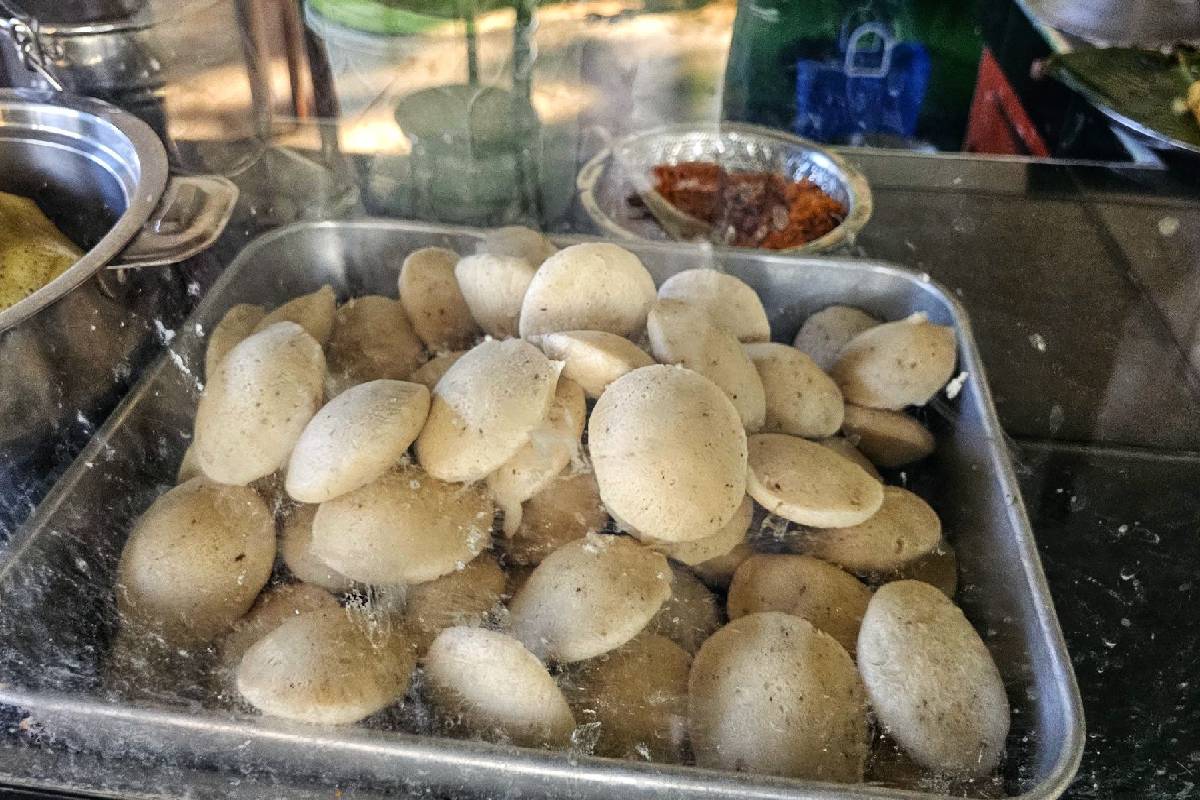 அம்மாச்சி உணவகத்தில் ஊழியர்களுக்கு எதிராக நடக்கும் முறைகேடுகள்! கண்ணீருடன் பெண் முன்வைத்துள்ள குற்றச்சாட்டுக்கள் | Against Employees At Ammachi Restaurant