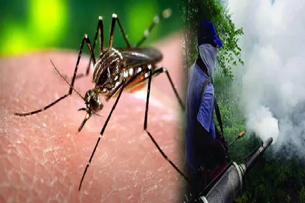 நாட்டில் 07 மாகாணங்கள் டெங்கு அபாய வலயங்களாக அறிவிப்பு | 7 Provinces Declared Dengue Risk Zones
