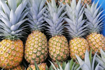 உலகின் மிகவும் பிரபலமான அன்னாசி இலங்கையில்