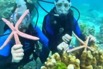 ஆழ்கடலில் நட்சத்திர மீனுடன் செல்பி எடுத்த சுற்றுலாப் பயணிகளுக்கு நேர்ந்த கதி