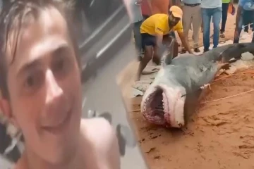 தந்தை கண் முன் மகனை கபளீகரம் செய்த சுறா: மனித வேட்டையில் இறங்கியதன் காரணம் இதுதானாம்...