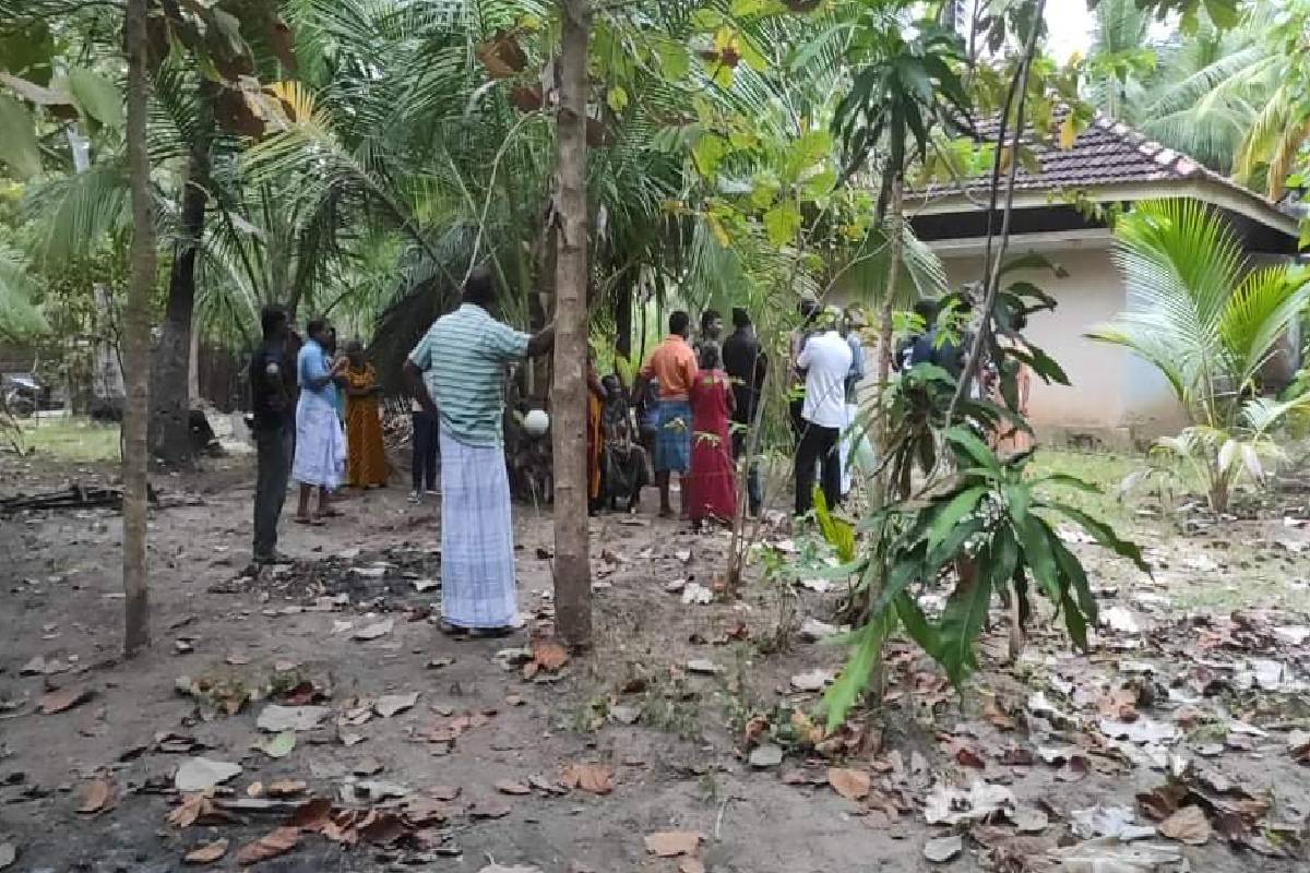 பலா பறிக்கச் சென்ற முதியவருக்கு நேர்ந்த துரதிர்ஷ்டம் | Misfortune That Befell Old Man Who Went Jackfruit