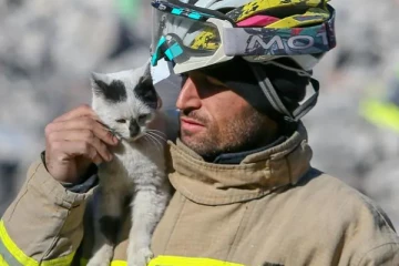 துருக்கி பூகம்பம்; ஐந்தறிவு ஜீவனை தத்தெடுத்த தீயணைப்பு வீரர்!