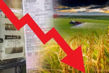 விவசாயிகளுக்கு மகிழ்ச்சித் தகவல்: மின்கட்டண குறைப்பு தொடர்பாக அமைச்சரவை பத்திரம்