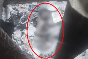 பச்சிளம் குழந்தையை குப்பைத் தொட்டியில் வீசிச்சென்ற நபர்கள் - சென்னையில் கொடூரம்!