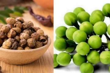 வாரம் 2 நாள் சுண்டைக்காய் சாப்பிடுங்க.. நோய்கள் பறந்தோடும்