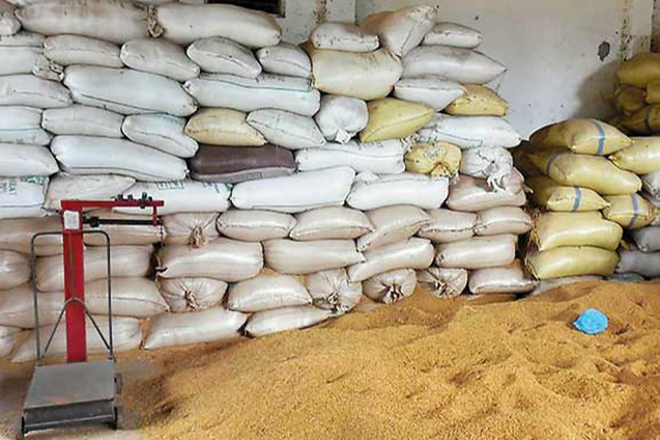 அறுவடையில் பாரிய நஷ்டம் விவசாயிகள் கவலை | Farmers Paddy Riceharvest Trinco Kinniya