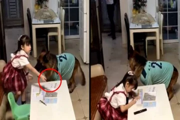 டிவி பார்த்துக் கொண்டிருந்த குழந்தை! நாய் கொடுத்த தரமான சிக்னல்